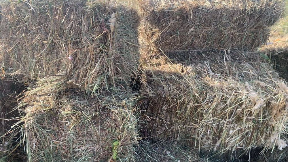 Продам сена с доставкой