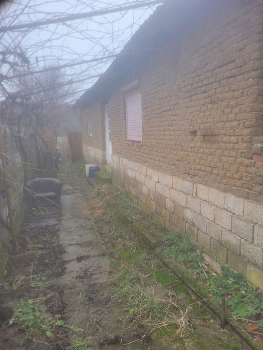 Casa.   la  tara