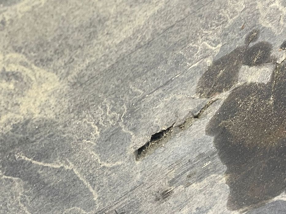 Scut caroserie stanga 8K0825207B Audi A4 B8/8K [2007 - 2011] 2.0 tdi