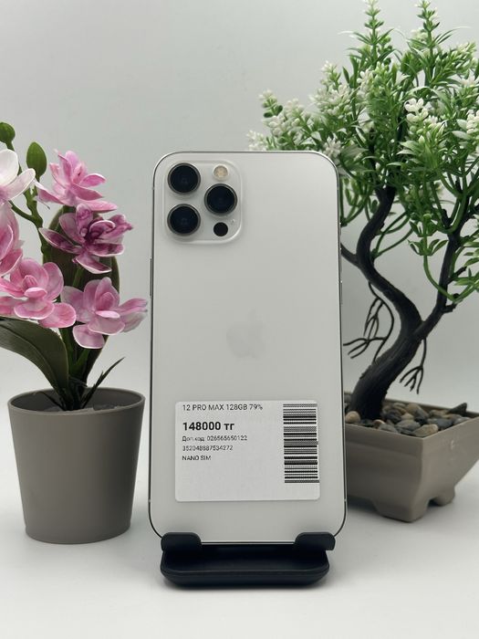 Iphone 12 Pro Max