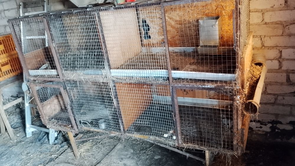 Клетки для кроликов