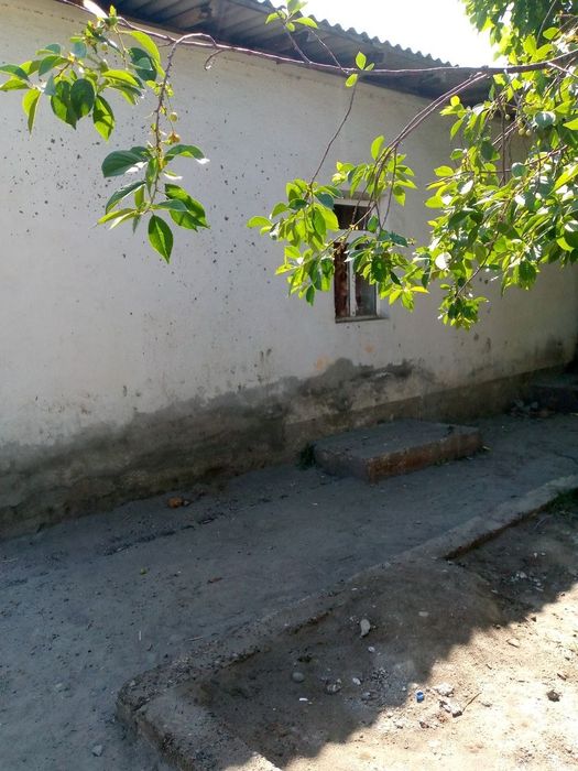 Ховли сотилади, Кукон