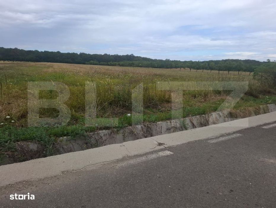 Teren de vanzare – Suta Olteni, 2.500 mp