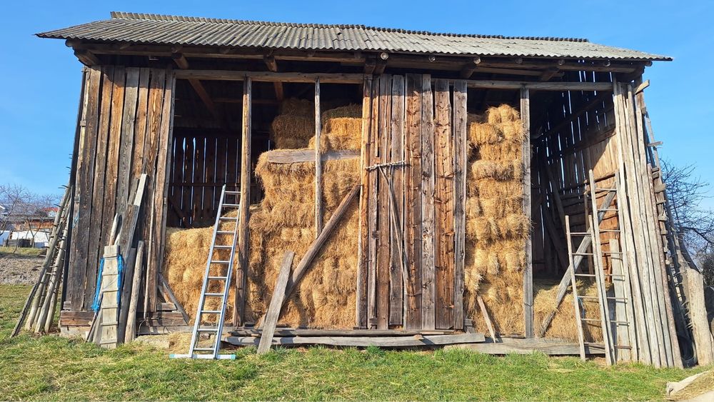 Baloti fan semanatura