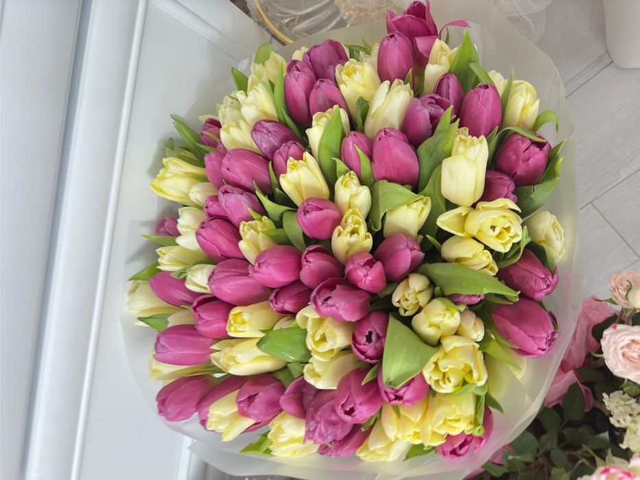 Свежие тюлпаны, 101 штук