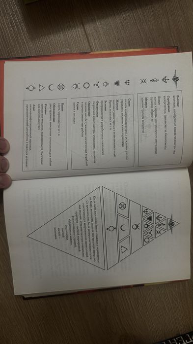 Книга Пирс Браун- золотой сын