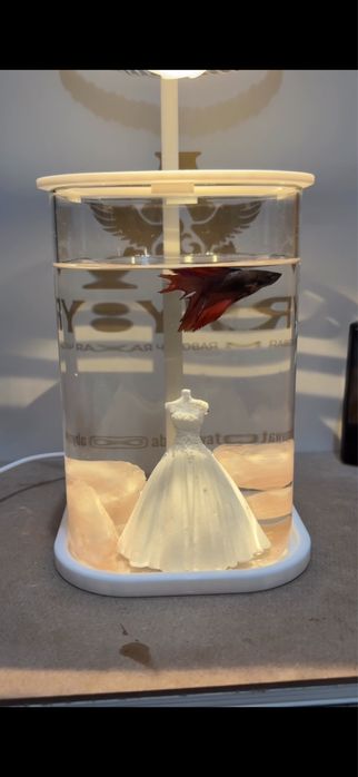 Аквариум + рибки + корм