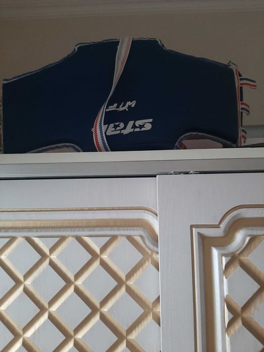 Щит  для каратэ для детей