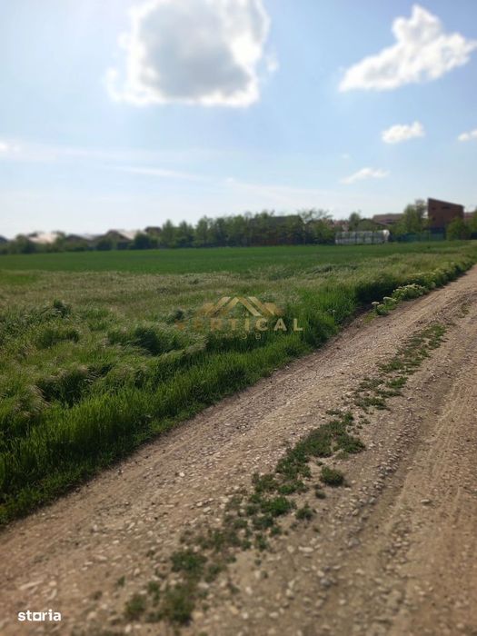 Terenuri de vanzare in sudul capitalei Berceni/Vidra Ilfov-539mp