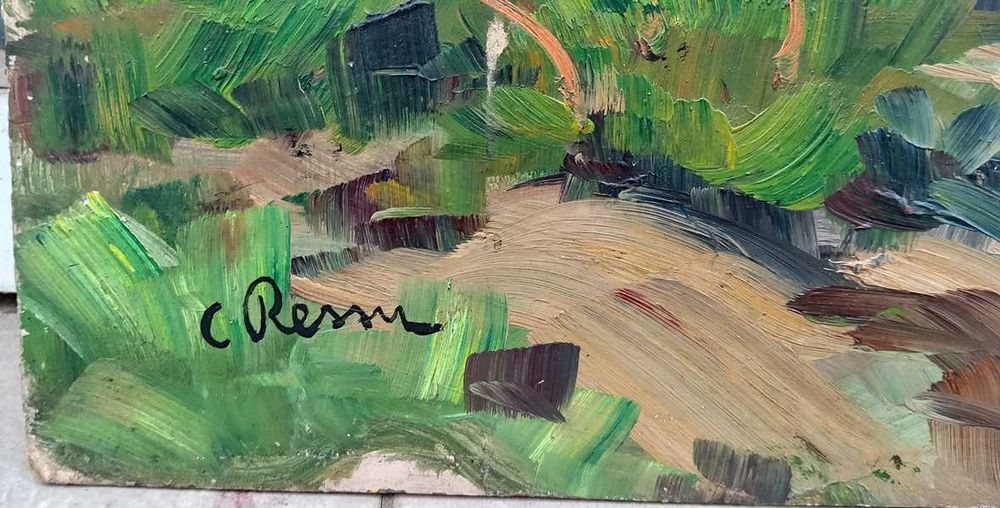 Tablou vechi -  femeie in natura - semnat C Ressu