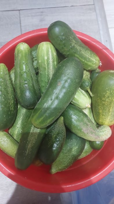 Продам дачу в ПК "Спутник"