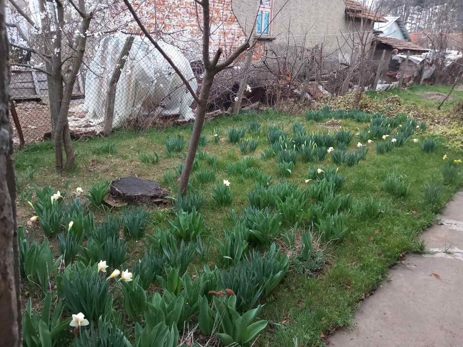 Продава се Къща в Исперих - 120 кв.м за 510 €/кв.м - Снимка #5