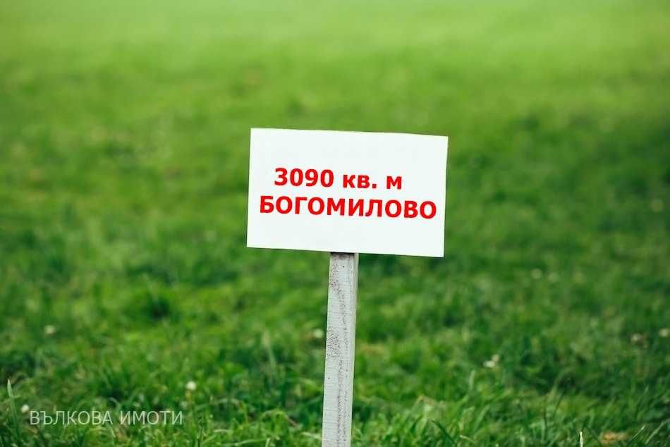 3 дка Богомилово, до регулация, голямо лице на път