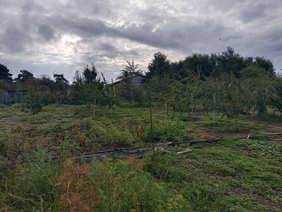 Продам дачу Садоводство «Сосновый Бор»