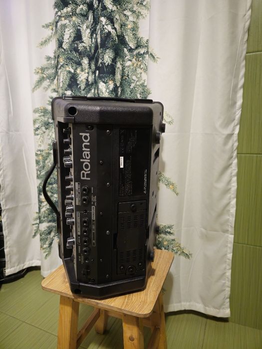 Roland Cube Street Ex