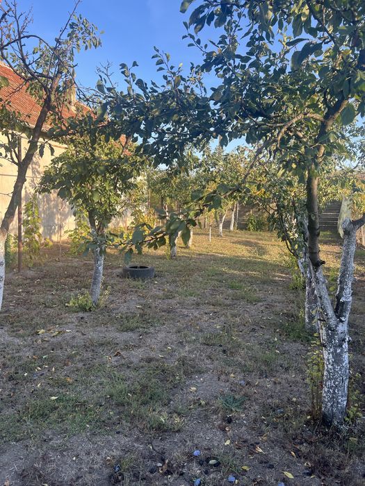 Casa de vanzare in Zarand