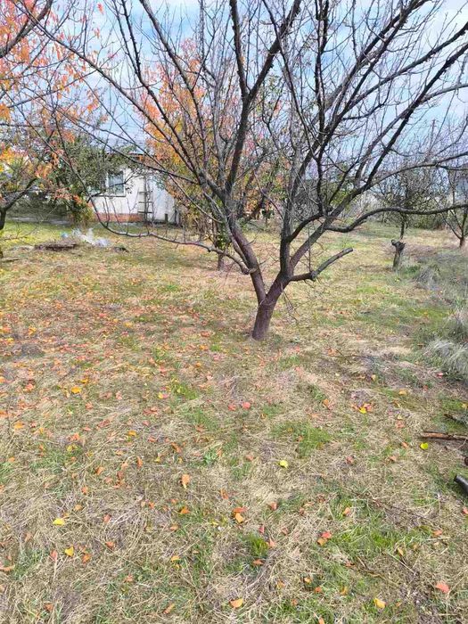 Продава се Къща в Шумен, Дивдядово - 1500 кв.м за 51 €/кв.м - Снимка #3