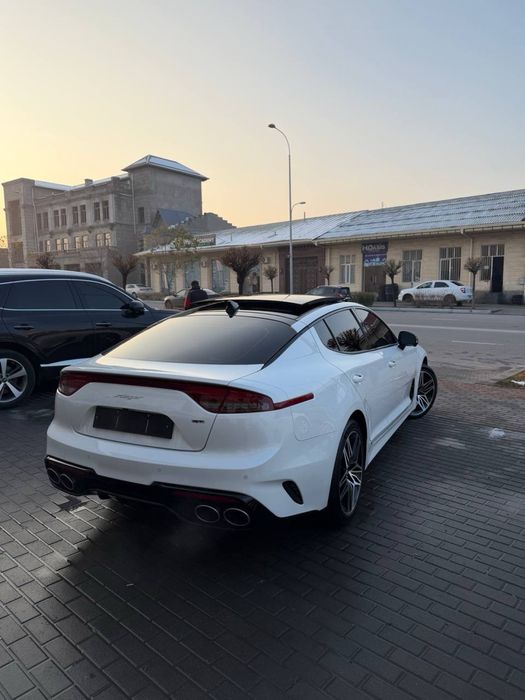 Kia Stinger 2023 Kraska Tozza Ideal