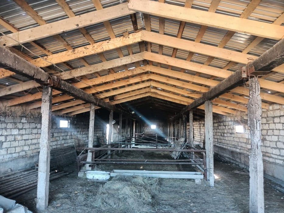 Продам КХ от города 80 км езды. Есть торг