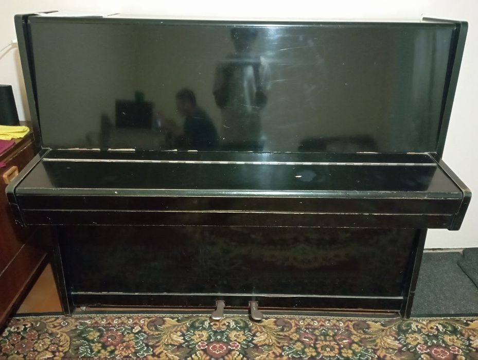 Фортепиано Ласточка