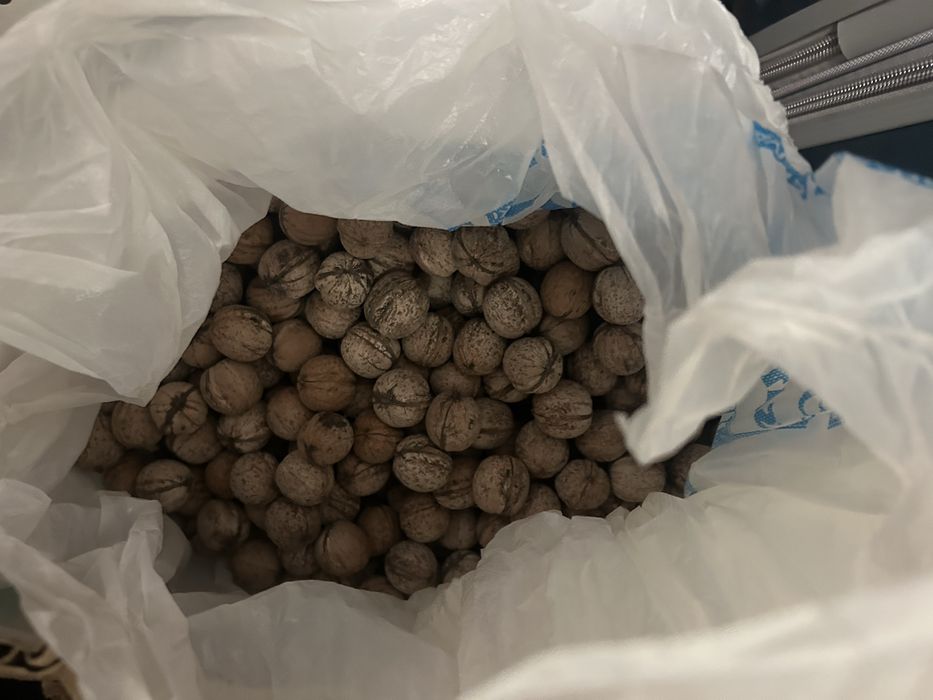 Продам грецкие орехи со своего огорода