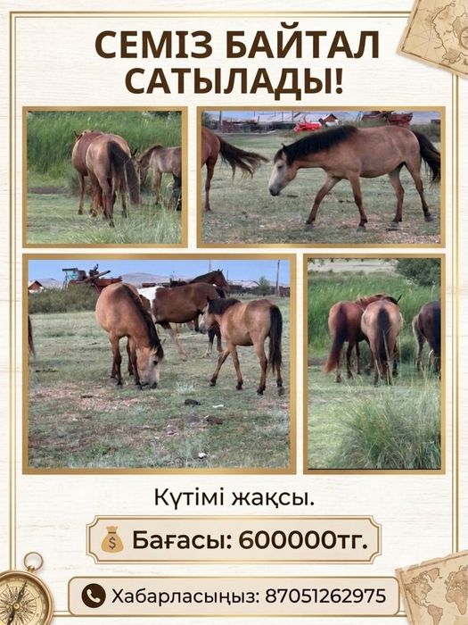 Байтал.Бұзаулы Сыйыр.Қысыр Құнажын. Бұқа сатылады