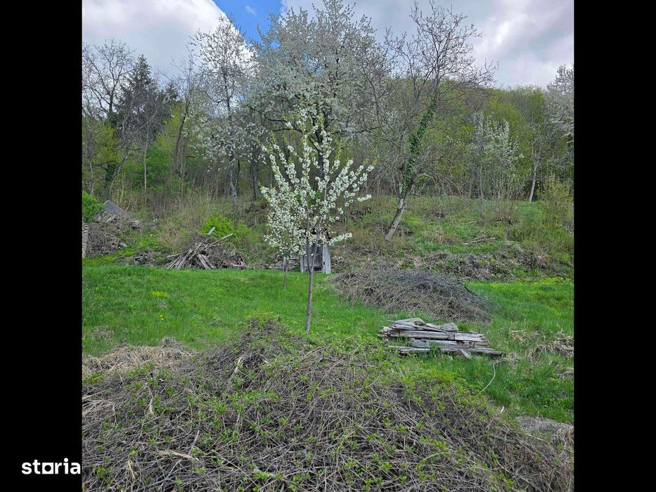 Teren de vis caută proprietar.