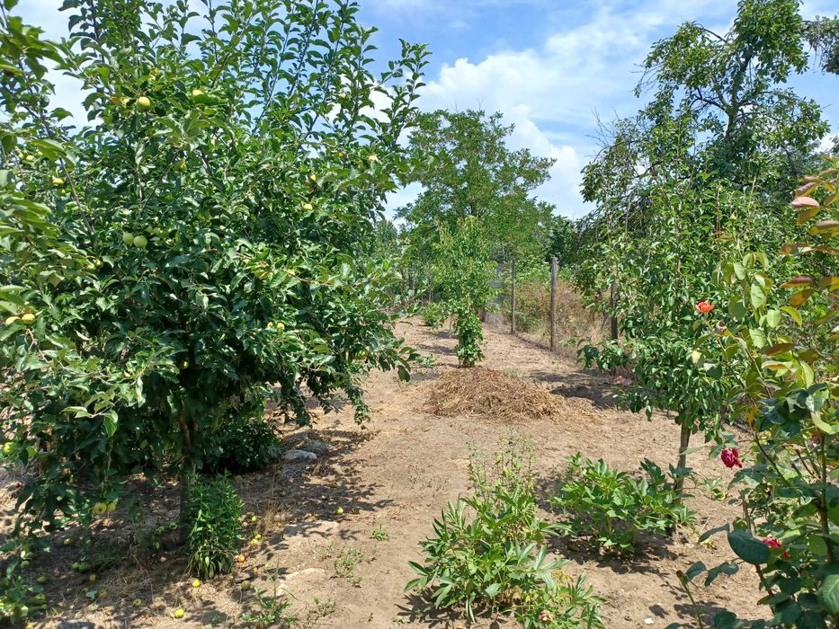 Proprietar – Casă solidă din bolțari, 4 camere, în Caracal - Negociabil
