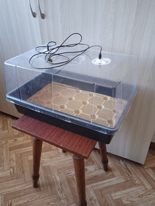 Мини парник с подсветкой