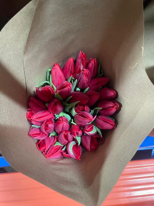 Тюльпаны оптом от 20шт по 500тг