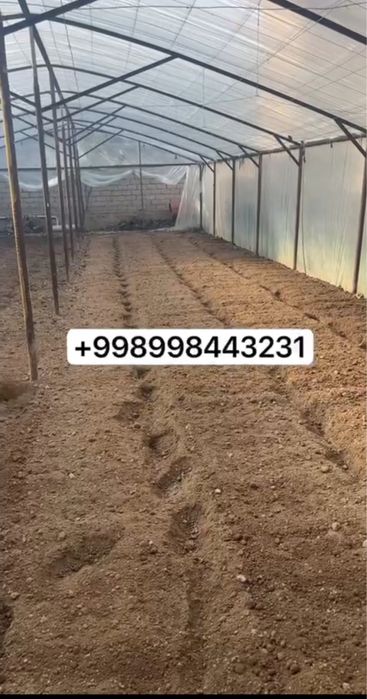 kultvator xizmati Freza dizel