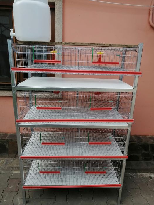 Rastele ptr creșterea prepelitelor complet  utilate