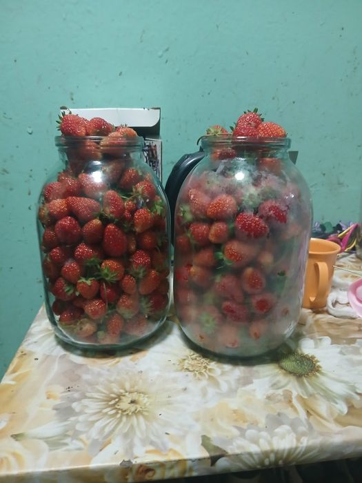 Продам клубнику домашнюю