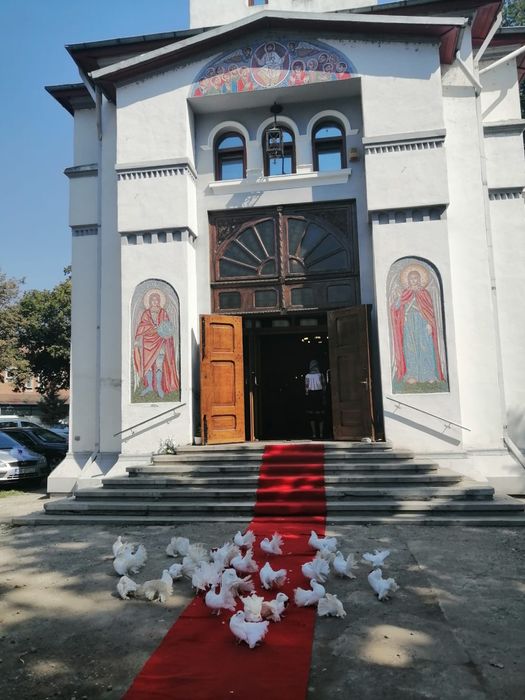 Porumbei nunta si evenimente speciale