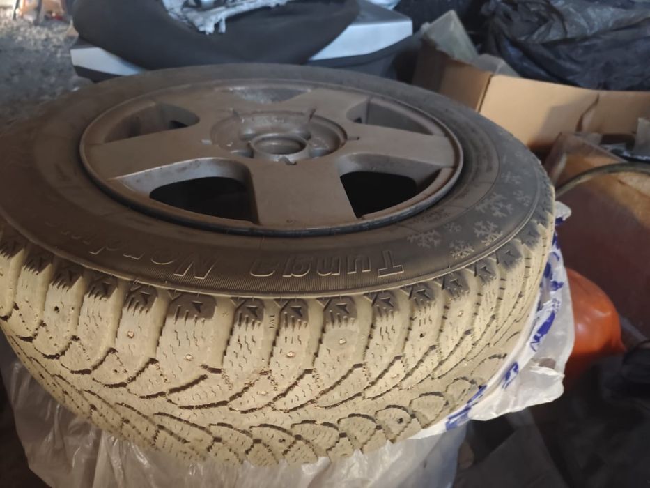 Жағдайы жақсы шипы дөңгелек