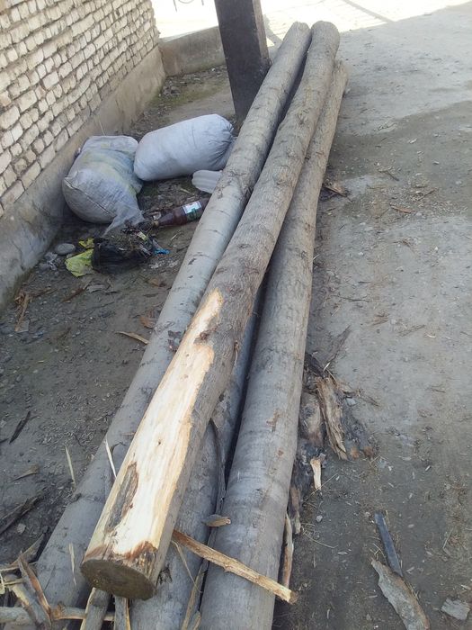 Tosin. BURUS sotiladi