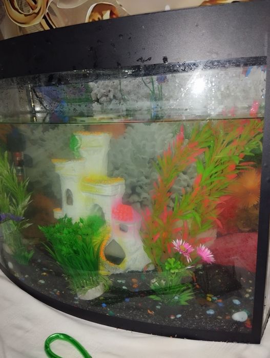 Akvarium sotiladi (komplekt)