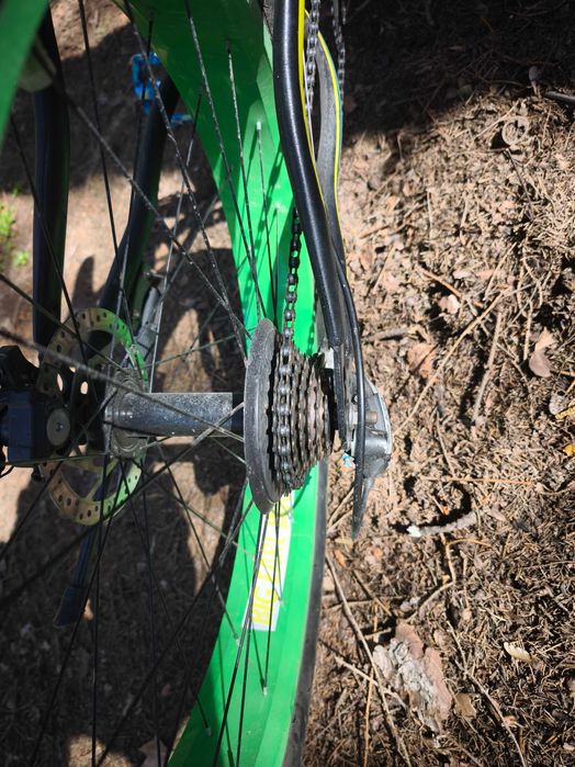 Fat bike freedom