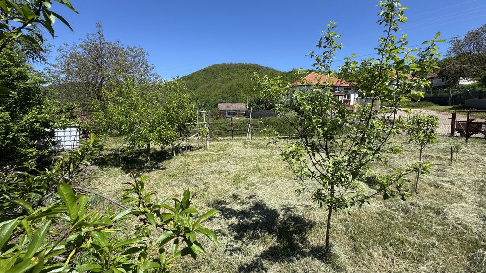 Teren intravilan in mijlocul satului Magura-Toplita