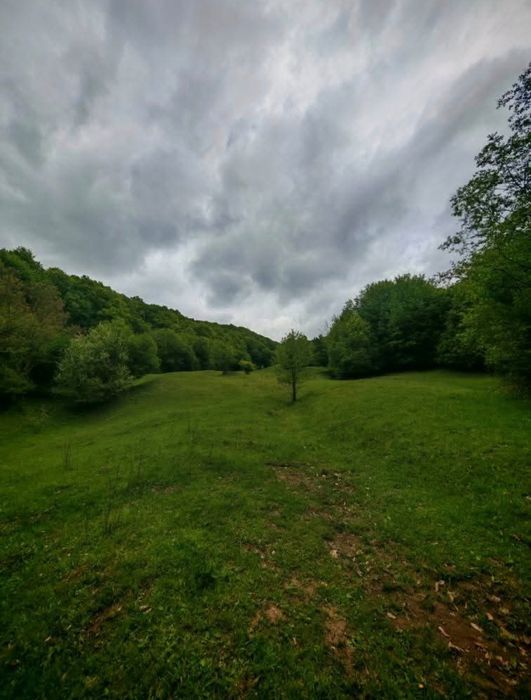 Teren de vânzare Drajna de sus