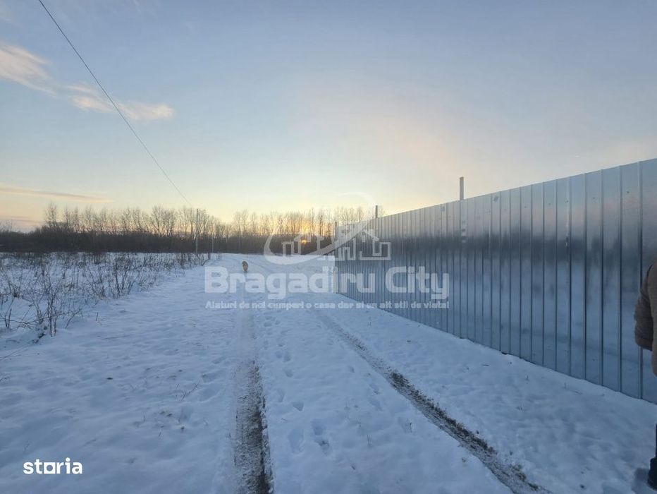 Teren acte la zi str Olteniei Teghes Domnesti