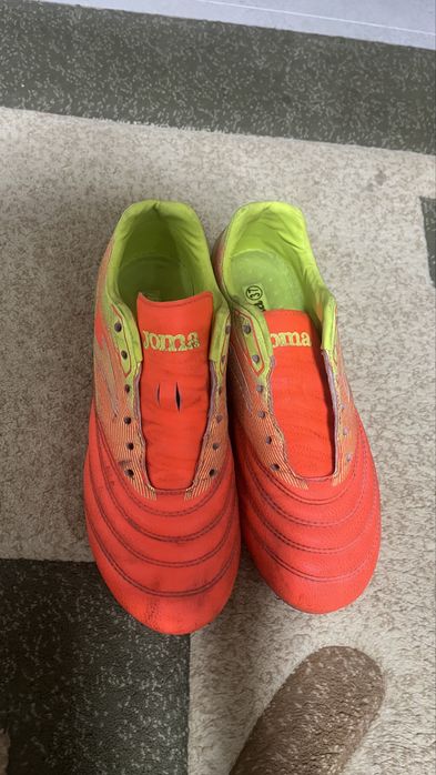 сараканошки.