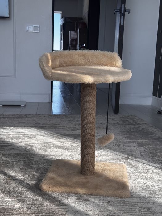 Новая когтеточка лежанка