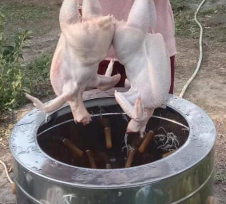 Броллер цеплят 1500тг