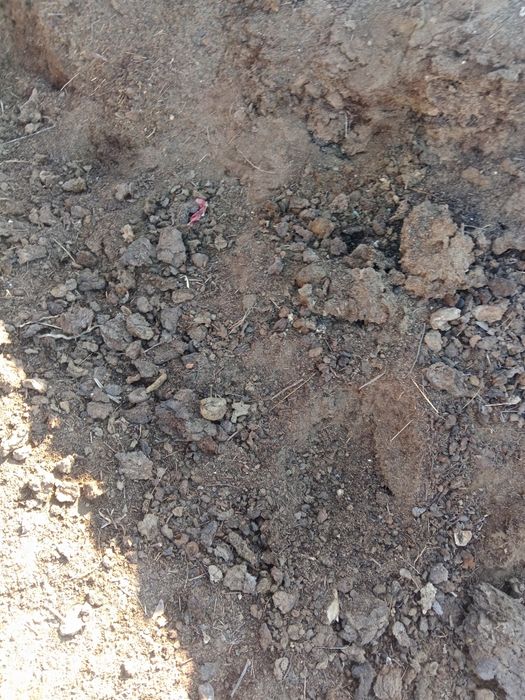 Продам навоз пос. Россоахоз мешок 200  тенге