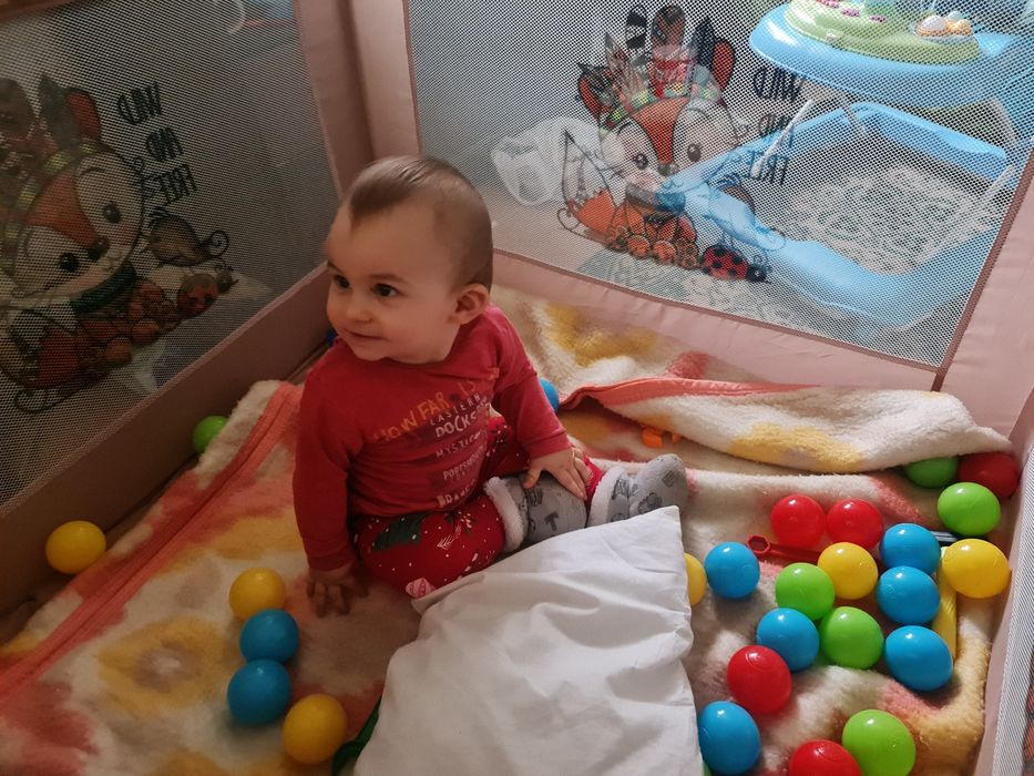 Кошара за игра запазена е