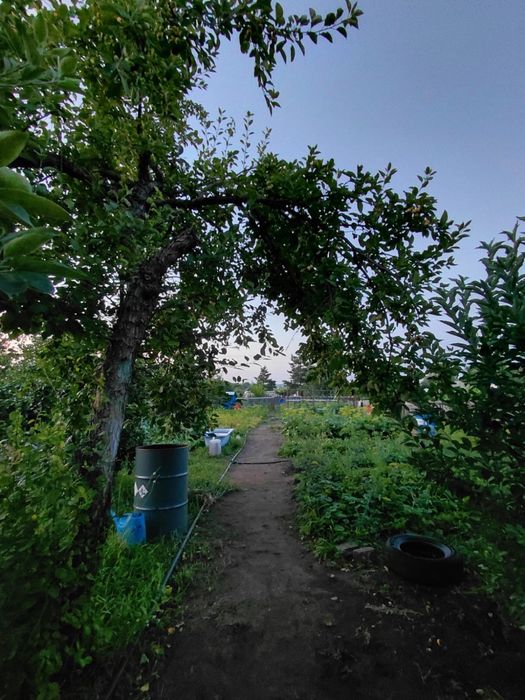 Продается дача, 7,2 соток