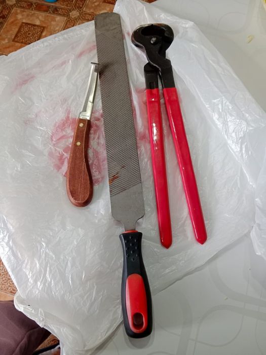 Продам набор для ухода за копытами лошадей