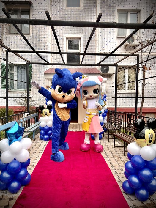 Arenda animator teddy ayiqlar foto video va afarmlenya