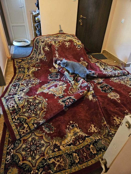 Covor persan Cisnadie